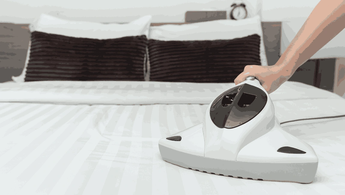 Professional Mattress Cleaning Smiths Gully